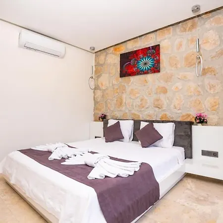 Vip Kaş